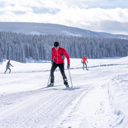 Activities: Winter Recreation